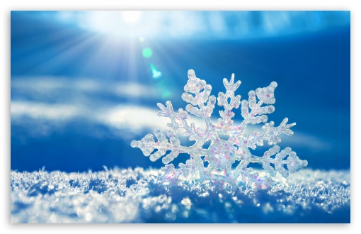 [Image: snowflake-t2.jpg]