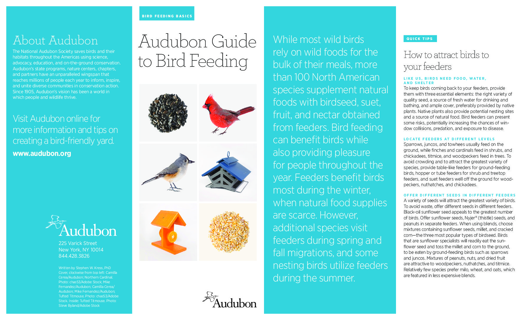 Audubon Guide To Bird Feeding New Britain Borough